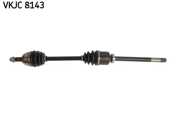 Planetara SKF VKJC 8143