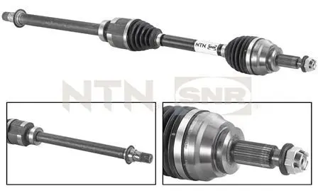 Planetara SNR DK55.031