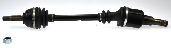 Planetara SPIDAN 24460