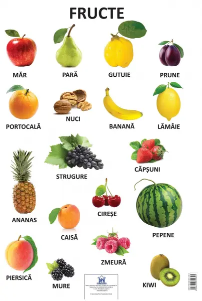 Plansa Fructe |