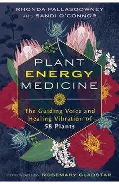 Plant Energy Medicine: The Guiding Voice and Healing Vibration of 58 Plants - Rhonda Pallasdowney