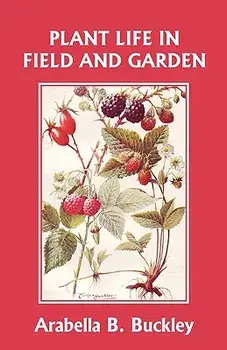 Plant Life in Field and Garden (Yesterday's Classics), Paperback/Arabella Buckley