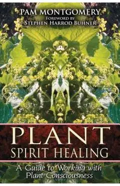Plant Spirit Healing: A Guide to Working with Plant Consciousness - Pam Montgomery