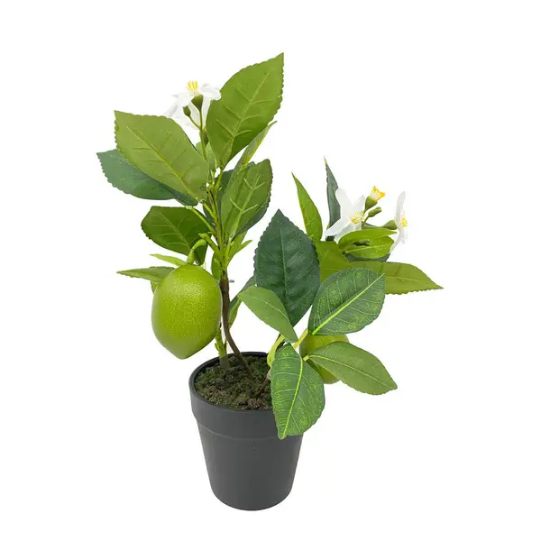 Plantă Artificială