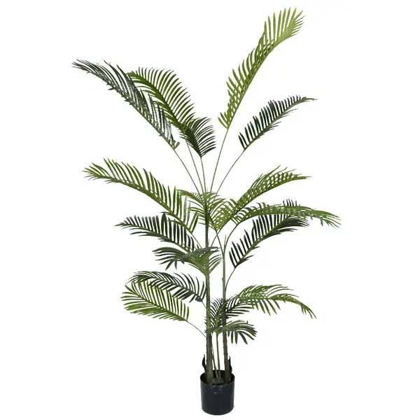 Planta decorativa Areca IIIghiveci, verde, H180cm