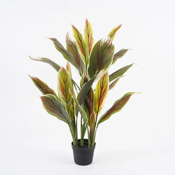 Planta decorativa cu ghiveci Cycas Verde 55x55x80 cm