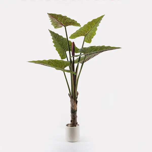 Planta decorativa cu ghiveci Wentii Verde 130x130x180 cm