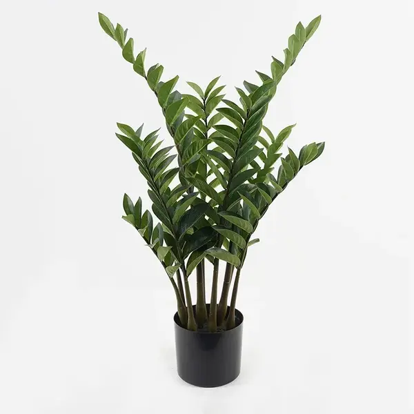 Planta decorativa cu ghiveci Zamia Verde 52x52x88 cm