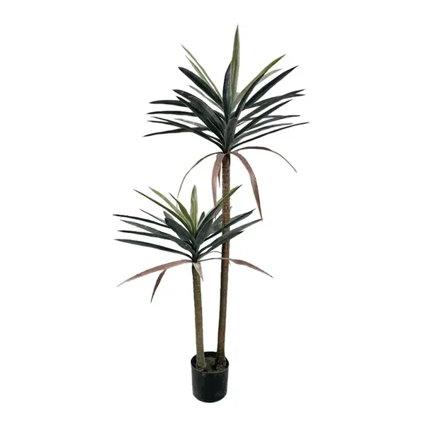 Planta decorativa Dracaena palma în ghiveci, Înaltime 125cm