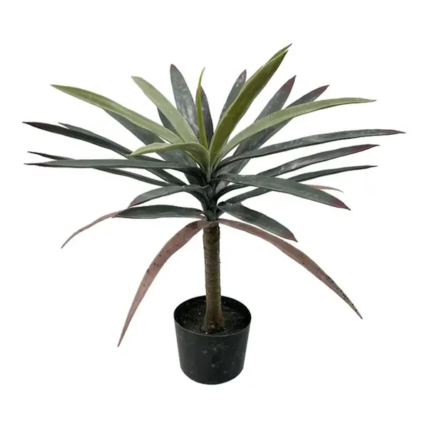 Planta decorativa Dracaena Verde 62 cm