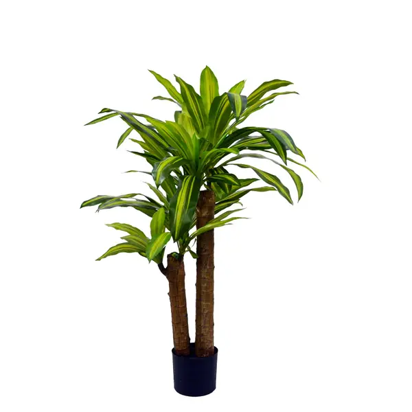 Planta decorativa Dracaenaghiveci, verde, H110cm