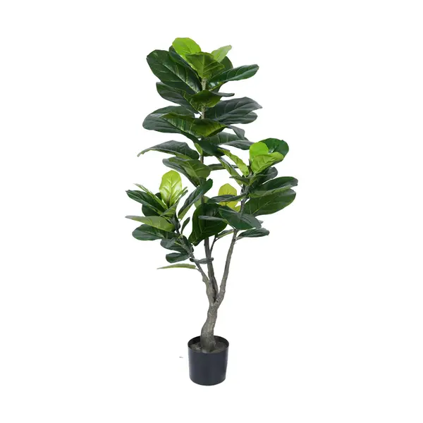 Planta decorativa Fiddleheadghiveci, verde, H120cm
