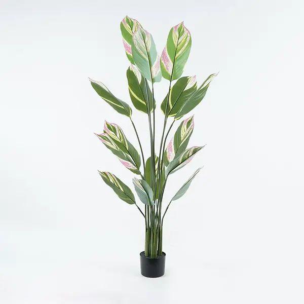 Planta decorativă în ghiveci Aglaonema, plastic, verde, 80x150 cm
