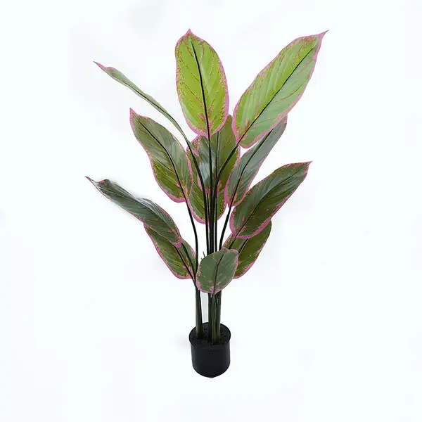 Plantă decorativă în ghiveci Calathea, Plastic, Verde, 68x120 cm