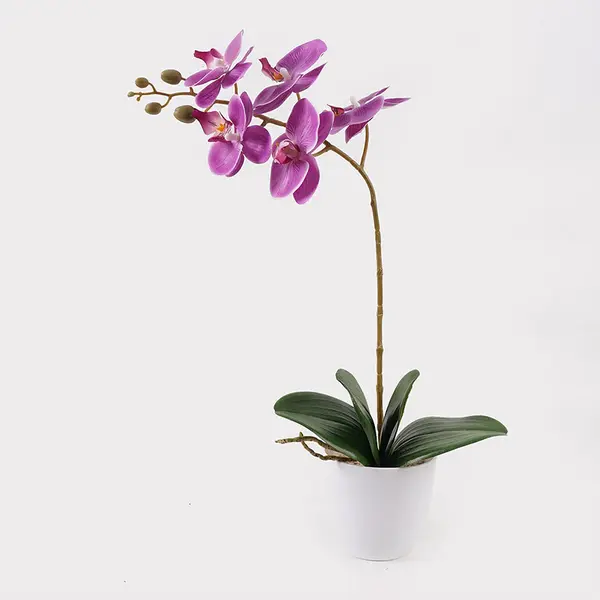 Plantă decorativă în ghiveci, Orhidee Orchid Beauty, Sintetic, Mov, 30x13x46 cm