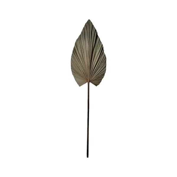 Planta decorativa Leafen Boho, Natural, 35x60x130 cm