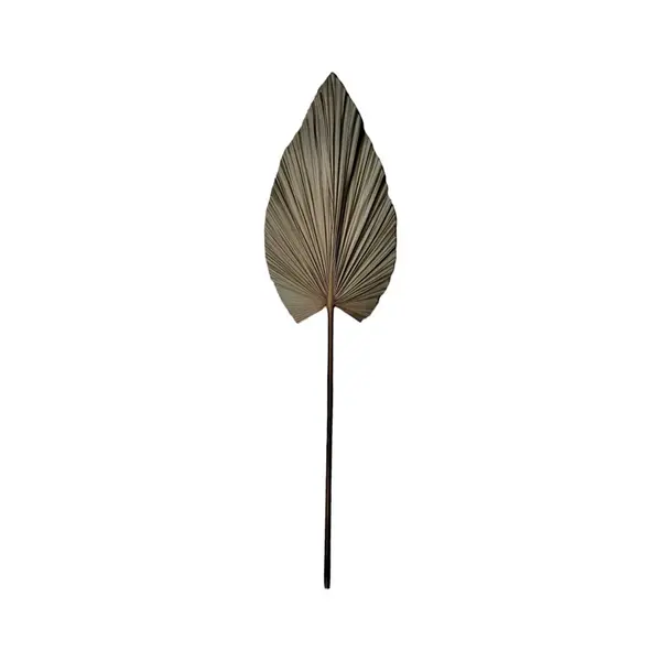 Planta decorativa Leafen Boho Pako World Natural 35x60x130 cm