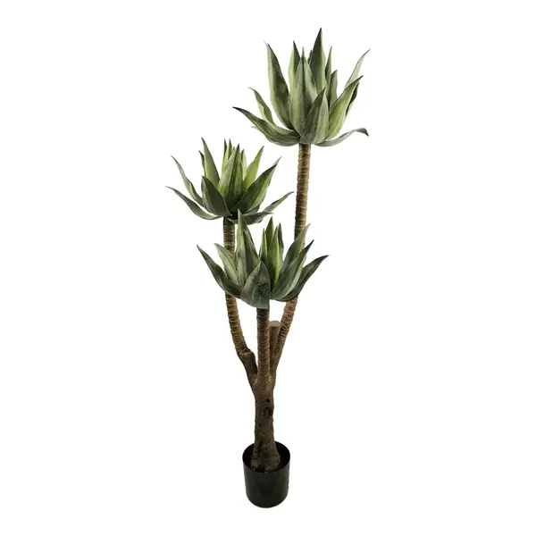 Planta decorativa Lotus cu ghiveci, Înaltime 150cm