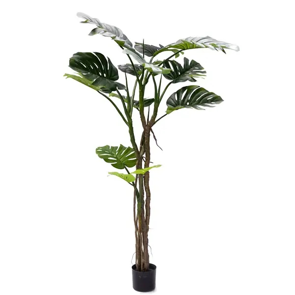 Planta decorativa Monstera III Pako World Negru inaltime 180 cm