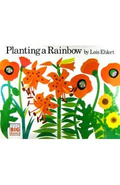 Planting a Rainbow - Lois Ehlert