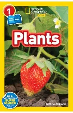 Plants - Kathryn Williams
