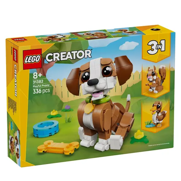 Playful puppy 31382