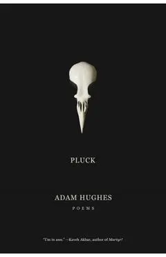 Pluck - Adam Hughes