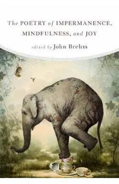 Poetry of Impermanence, Mindfulness, and Joy - John Brehm