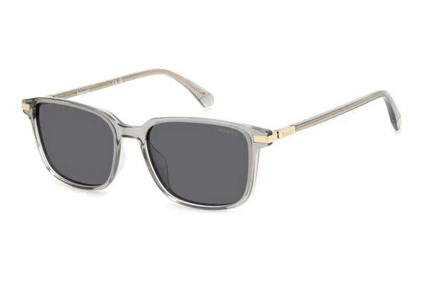 Polaroid PLD4169/G/S/X 690/M9 Polarized