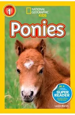 Ponies - Laura Marsh