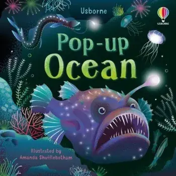 Pop-up Ocean, Board book/Lizzie Cope