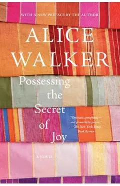 Possessing the Secret of Joy - Alice Walker