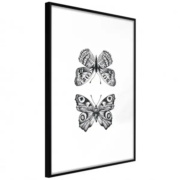 Poster - Butterfly Collection I, cu Ramă neagră, 20x30 cm