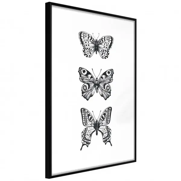 Poster - Butterfly Collection III, cu Ramă neagră, 40x60 cm