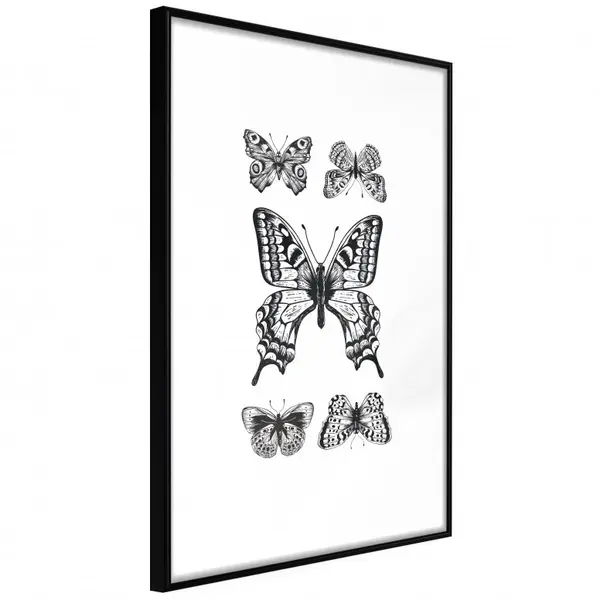 Poster - Butterfly Collection IV, cu Ramă neagră, 40x60 cm