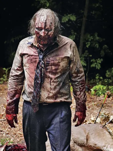 Poster cu 2 fete - The Walking Dead Vol. 2 - mai multe modele | Insight Editions