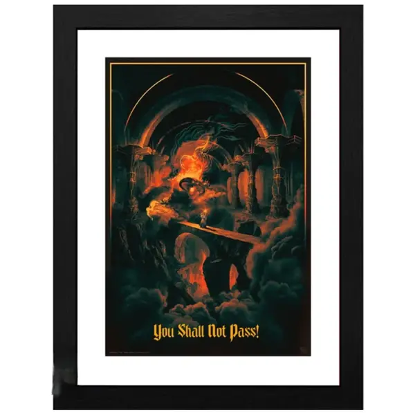 Poster cu Rama Lord of The Rings - You shall not pass (30x40)