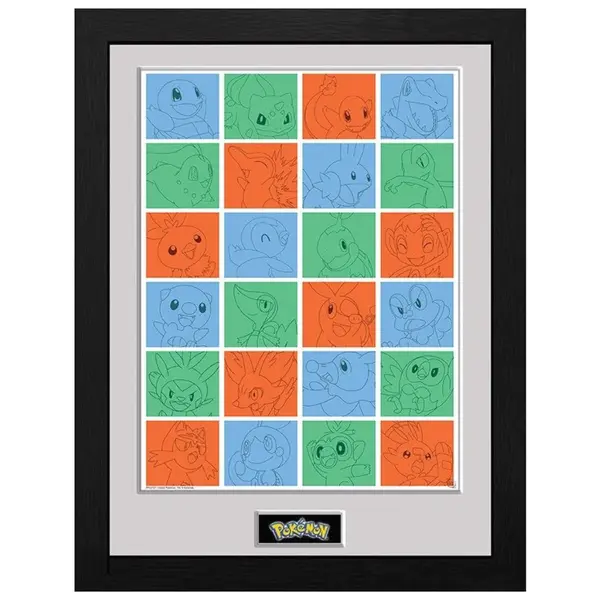 Poster cu Rama Pokemon - First Partner Grid (30x40)