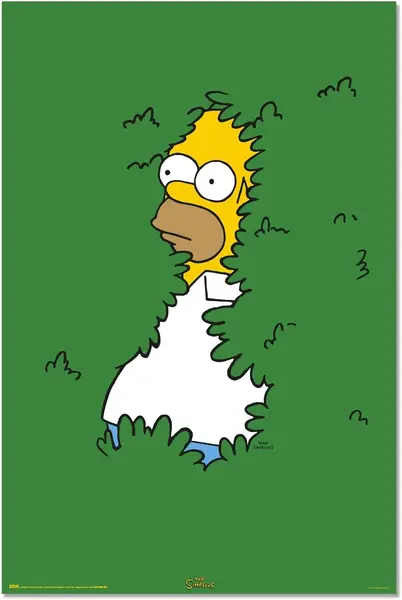 Poster Erik Television: The Simpsons - Homer Bushes