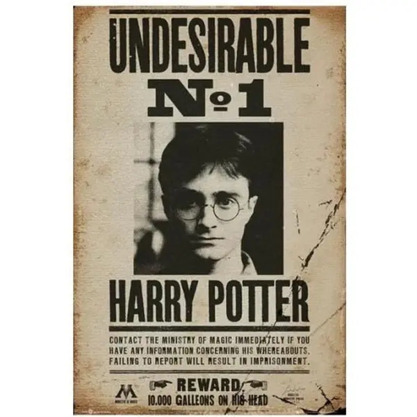 Poster Harry Potter - Undesirable nr 1 (91.5x61)