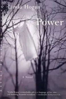 Power, Paperback/Linda Hogan
