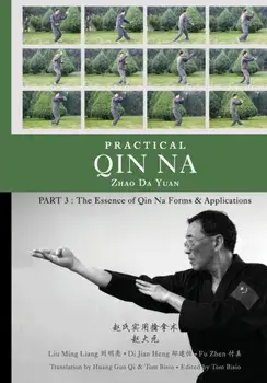Practical Qin Na Part 3: The Essence of Qin Na - Forms & Applications, Paperback/Tom Bisio