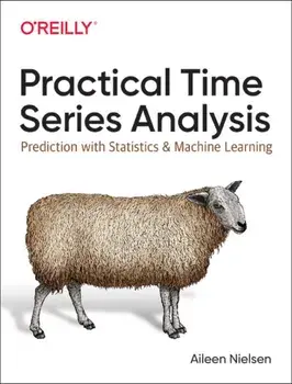 Practical Time Series Analysis. Prediction with Statistics and Machine Learning, Paperback/Aileen Nielsen