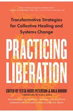 Practicing Liberation: Transformative Strategies for Collective Healing & Systems Change: Reflections on Burnout, Trauma & Building Communiti - Tessa Hicks Peterson