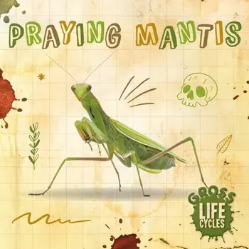 Praying Mantis, Hardback/William Anthony