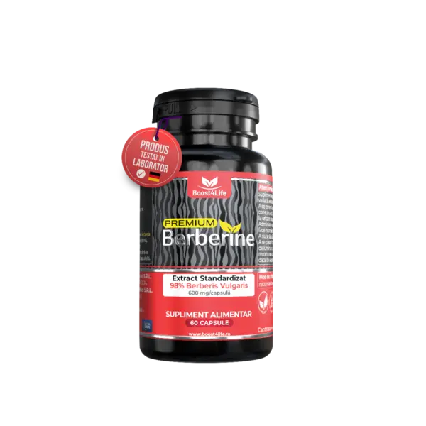 Premium Berberine 600mg, 60 capsule, Boost4Life