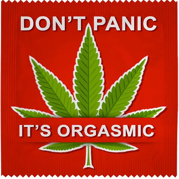 Prezervativ Callvin - Don't Panic It's Orgasmic