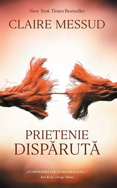 Prietenie disparuta | Claire Messud