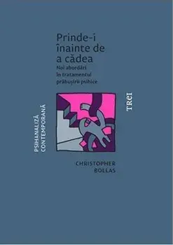 Prinde-i inainte de a cadea. Noi abordari in tratamentul prabusirii psihice/Christopher Bollas