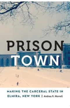 Prison Town: Making the Carceral State in Elmira, New York - Andrea R. Morrell